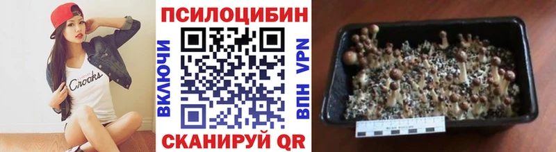 Галлюциногенные грибы Psilocybine cubensis  где купить наркотик  Ак-Довурак 